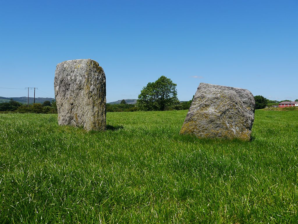 Image of Ballyhalwick (Stone Row / Alignment) by Meic