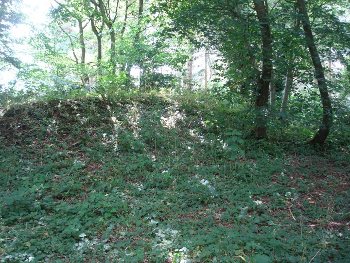 Image of Hartshill Barrow (Round Barrow) by Chance