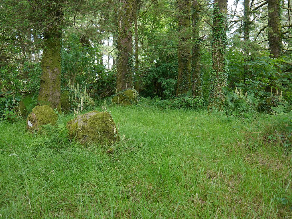 Image of Glantane East S (Stone Circle) by Meic