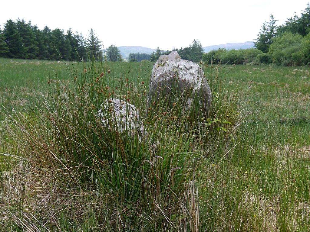 Image of Glantane East (Stone Row / Alignment) by Meic