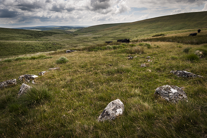 Image of Sittaford Tor hut circles (Ancient Village / Settlement / Misc. Earthwork) by A R Cane