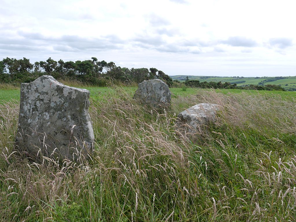 Image of Glanbrack (Stone Circle) by Meic