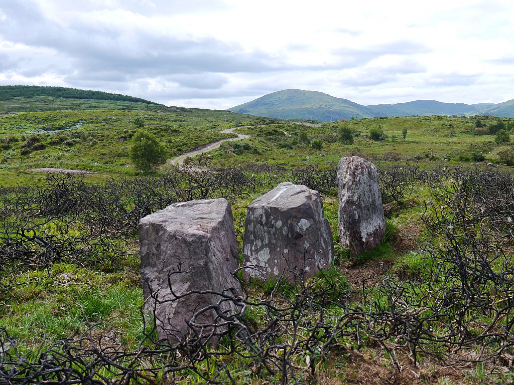Image of Dromatouk (Stone Row / Alignment) by Meic