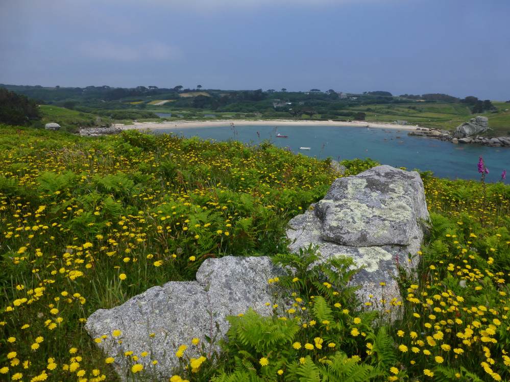 Image of Salakee Down (Chambered Cairn) by thesweetcheat