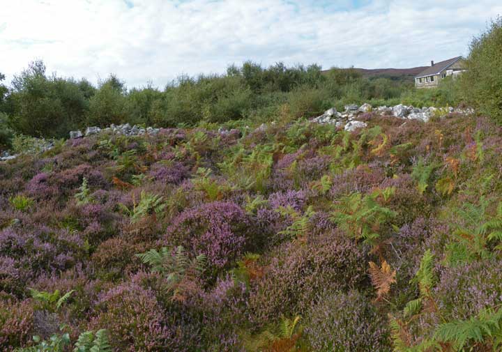 Image of Dun Liath (Glasnakille) (Broch) by LesHamilton