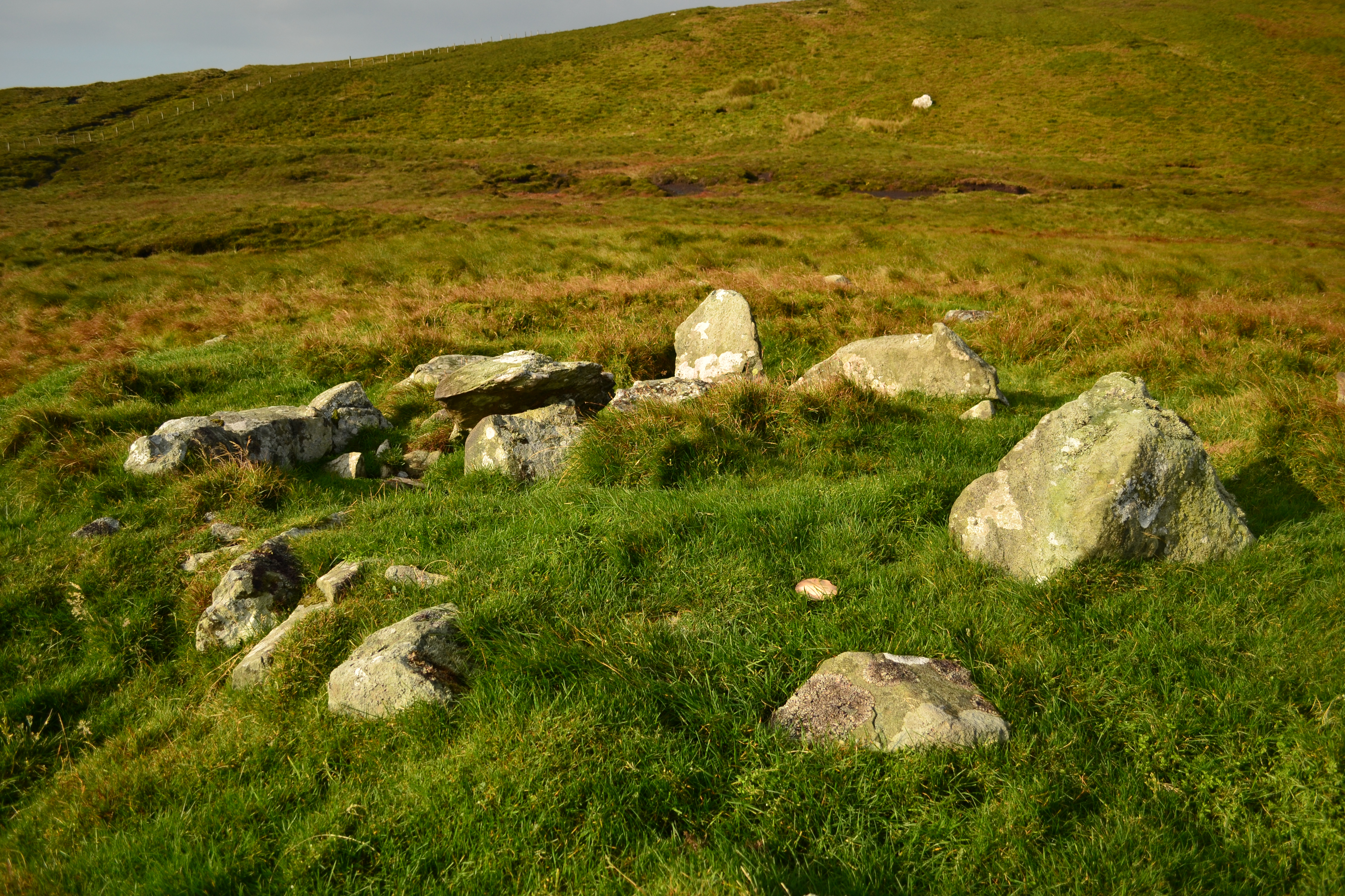 Image of Knowe of Wilga (Chambered Cairn) by thelonious