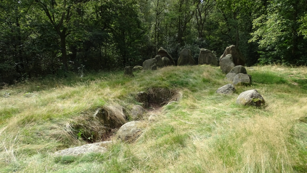 Image of Visbeker Braut (Long Barrow) by Nucleus