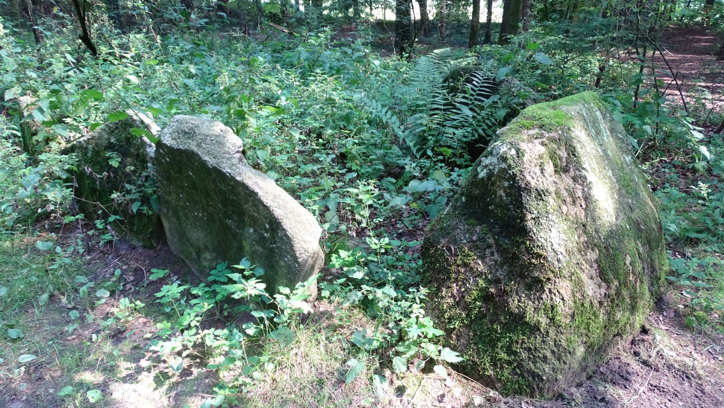 Image of Lindern (Cist) by Nucleus