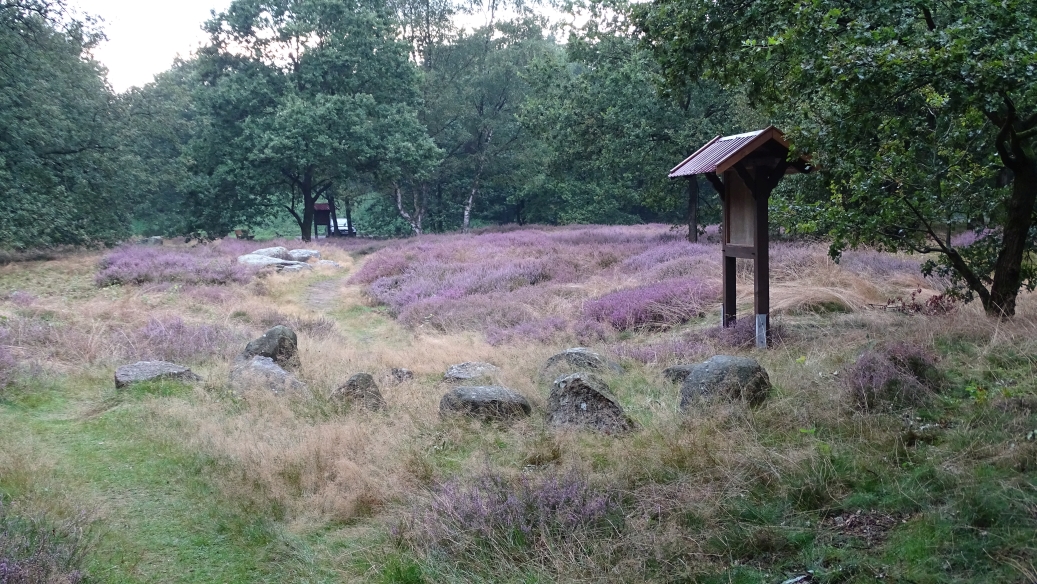 Image of Groß Berßen 5 (Chambered Tomb) by Nucleus