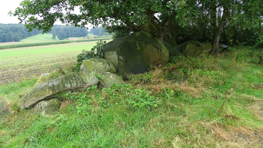 Image of Schwagstorf 1 (Passage Grave) by Nucleus