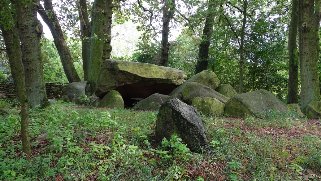 Image of Darpvenner Steine 1 (Passage Grave) by Nucleus