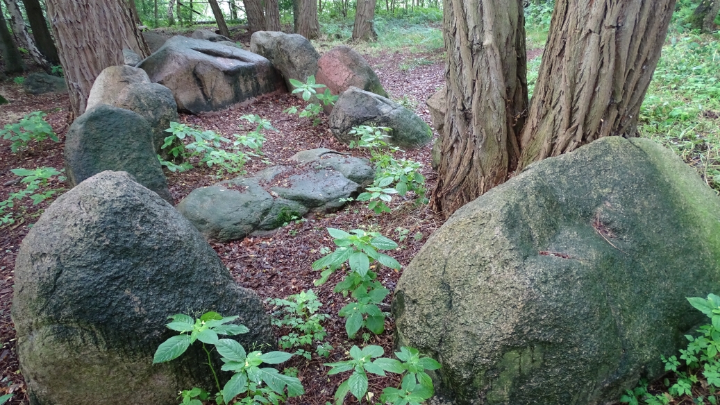 Image of Darpvenner Steine 3 (Passage Grave) by Nucleus