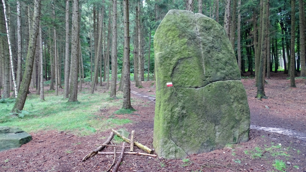 Image of Süntelstein (Standing Stone / Menhir) by Nucleus