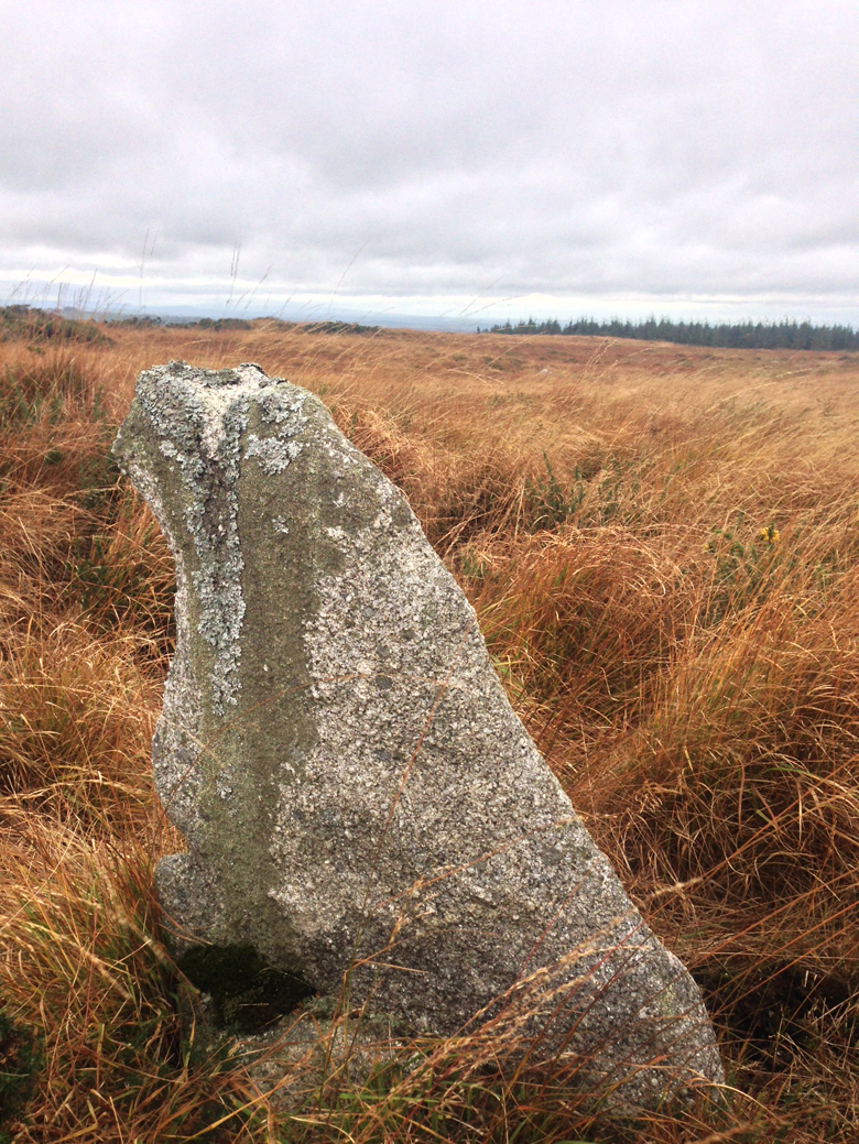 Image of Kiernans Hill (Standing Stone / Menhir) by ryaner