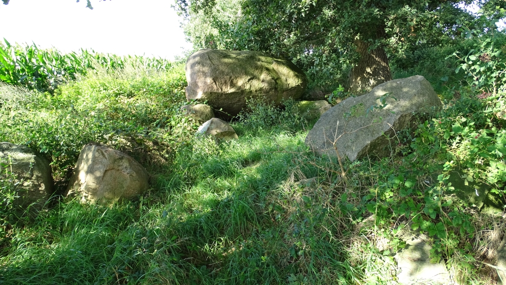 Image of Löningen 3 (Passage Grave) by Nucleus