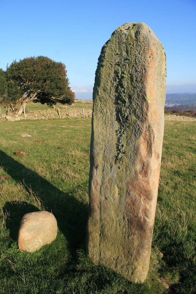 Image of Hafodty (Standing Stone / Menhir) by postman