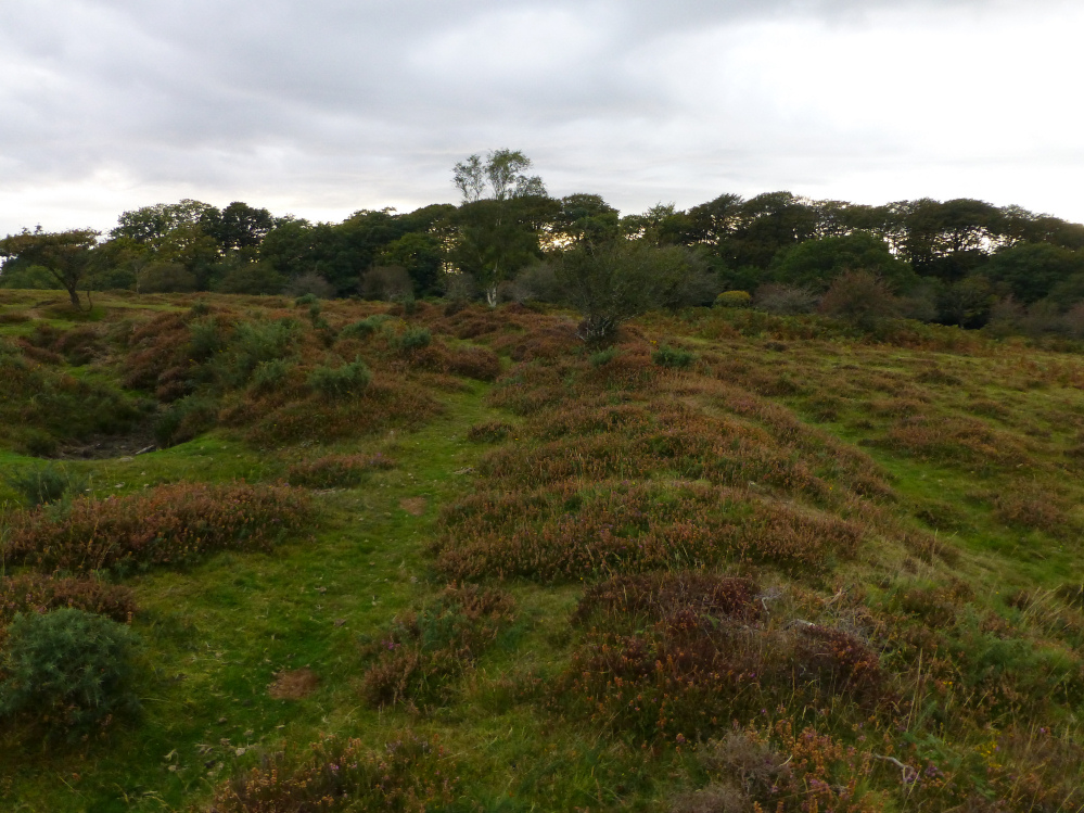 Image of Roborough Beacon (Enclosure) by thesweetcheat