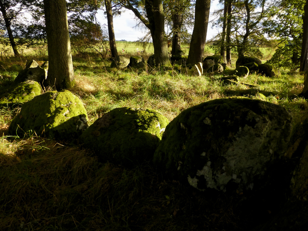 Image of Druidtemple (Clava Cairn) by thesweetcheat