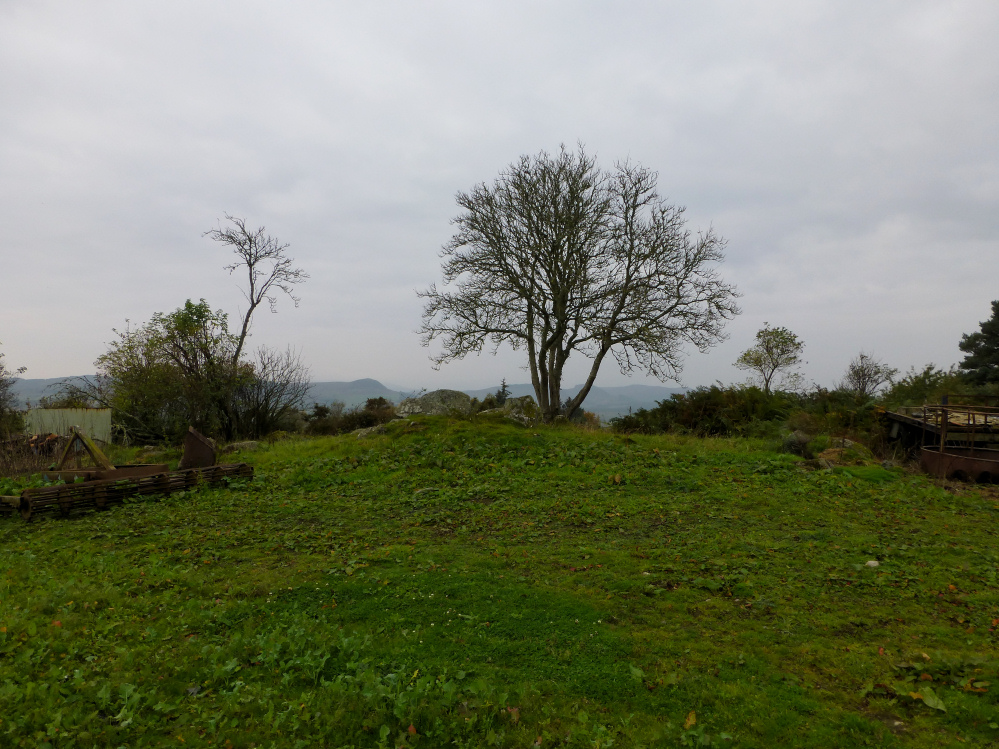 Image of Balvaird (Chambered Cairn) by thesweetcheat