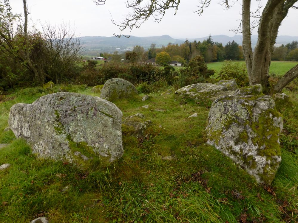 Image of Balvaird (Chambered Cairn) by thesweetcheat