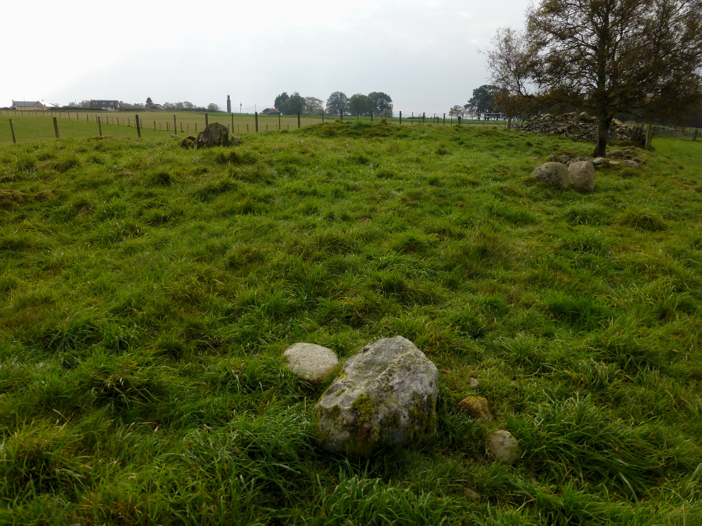 Image of Muir of Allangrange (Chambered Cairn) by thesweetcheat