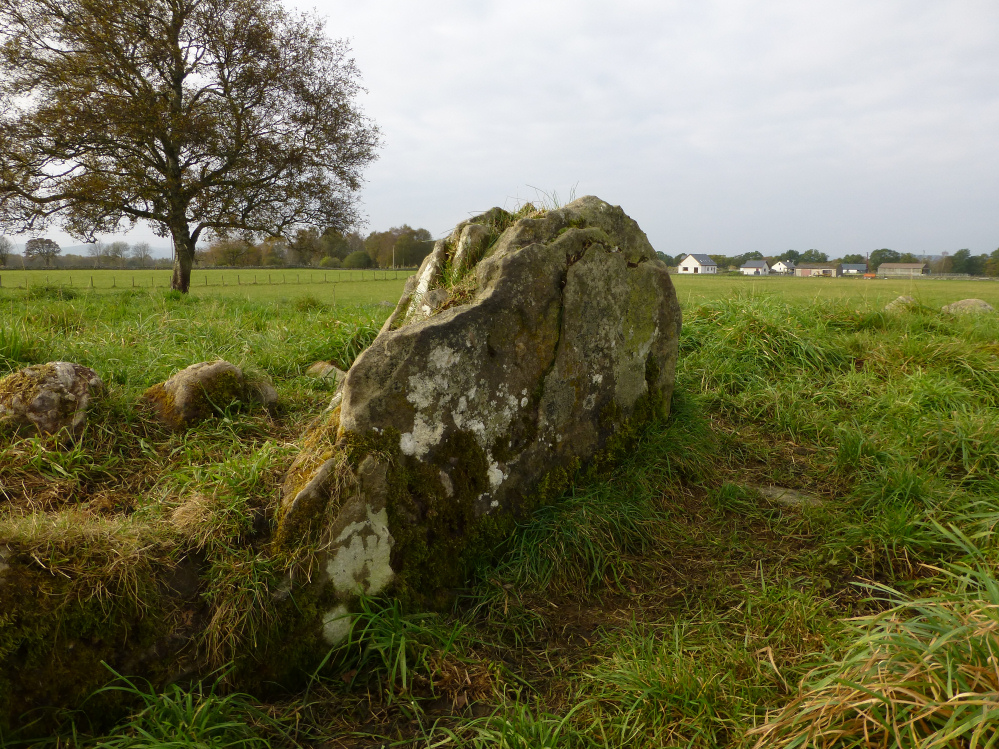 Image of Muir of Allangrange (Chambered Cairn) by thesweetcheat