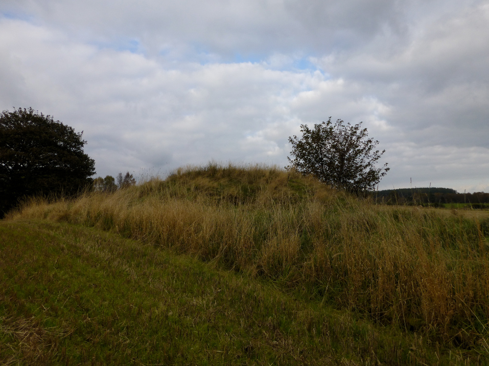Image of Mains of Kilcoy (Cairn(s)) by thesweetcheat