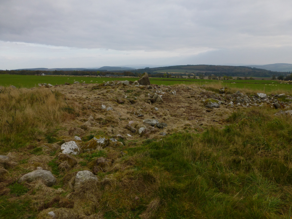 Image of Carn Glas (Mains of Kilcoy) (Chambered Tomb) by thesweetcheat