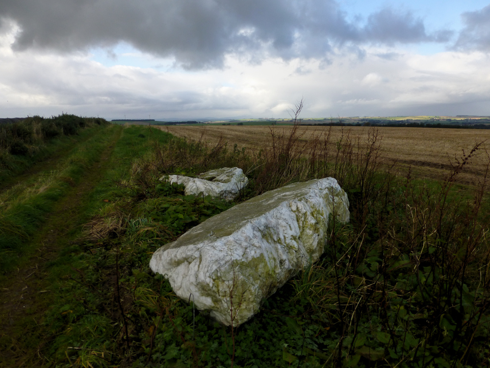 Image of Auchmaliddie (Stone Circle) by thesweetcheat