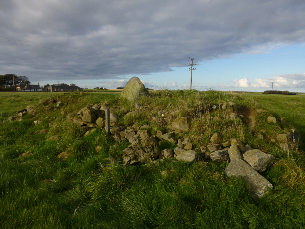 Image of Cortie Brae (Stone Circle) by thesweetcheat