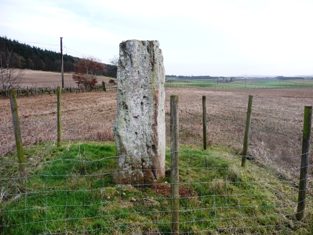 Image of Airlie (Standing Stone / Menhir) by drewbhoy