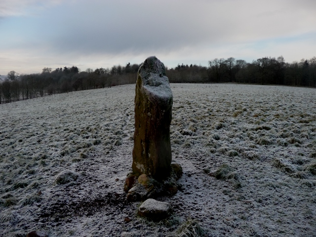 Image of Lendrick Lodge Stone (Standing Stone / Menhir) by drewbhoy