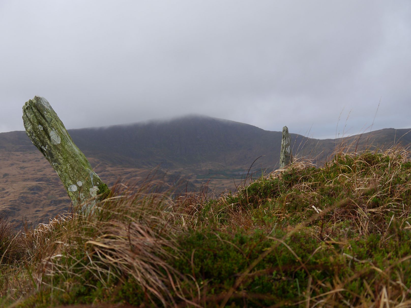 Image of Inchinanagh (Standing Stones) by Meic