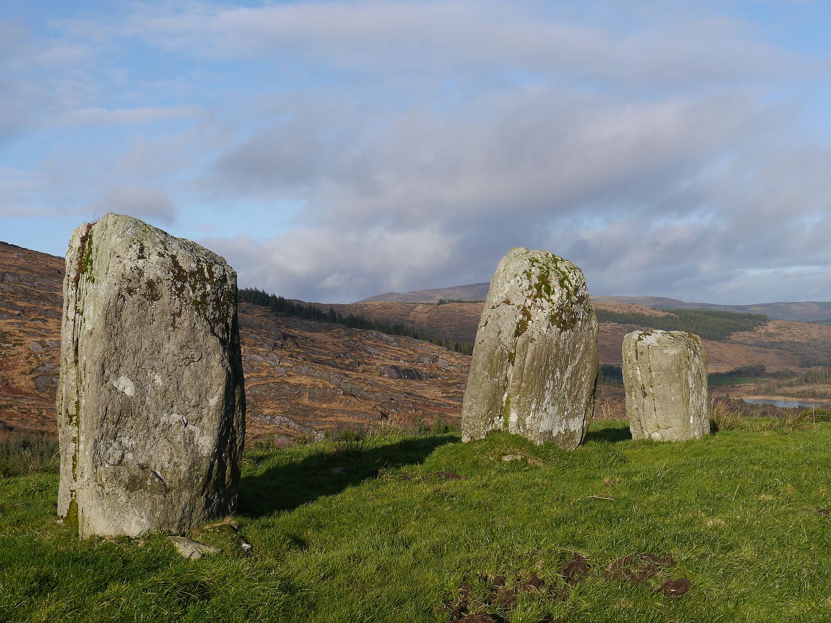 Image of Cullenagh (Stone Row / Alignment) by Meic