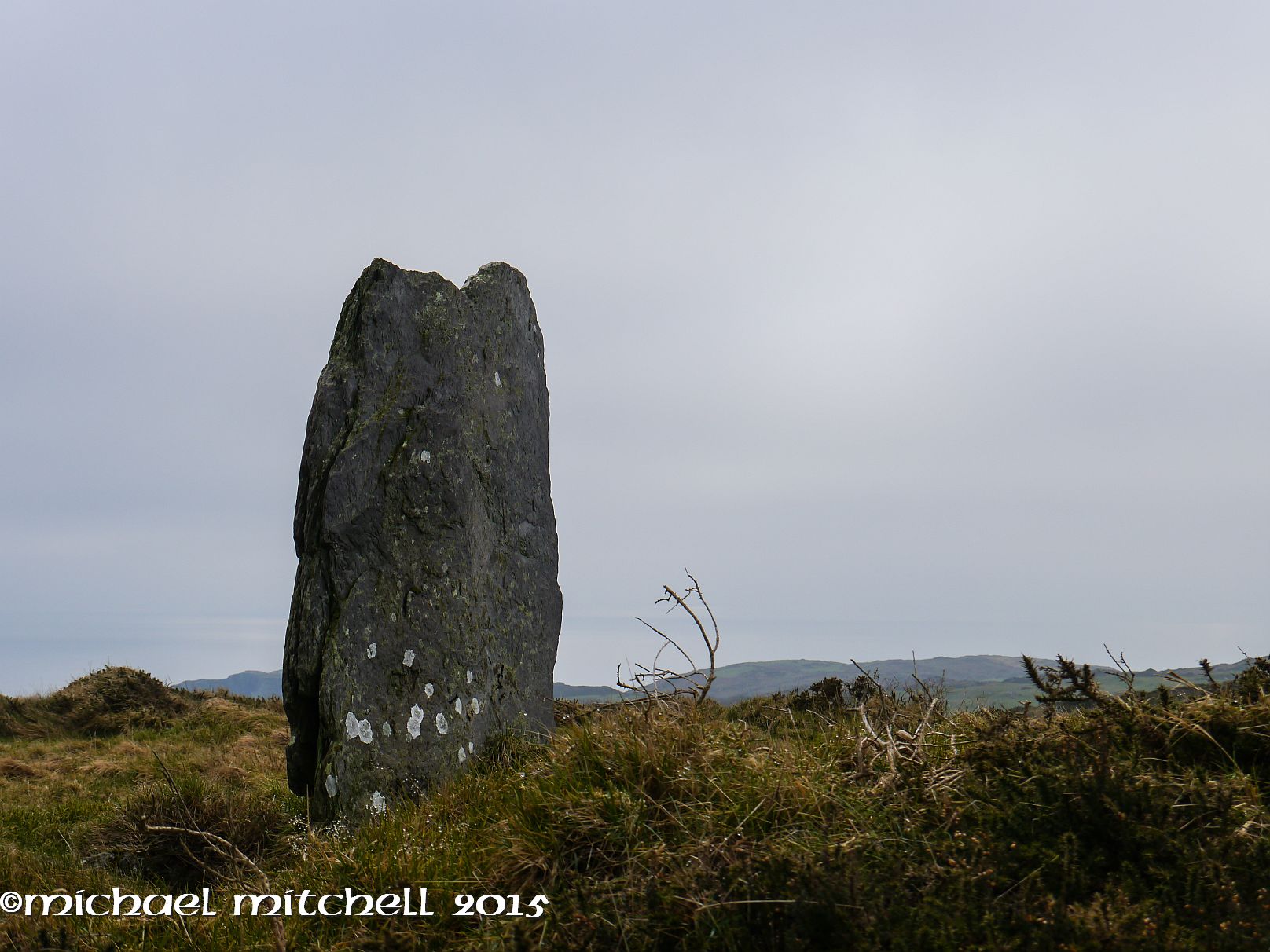 Image of Ballymacrown (Standing Stone / Menhir) by Meic