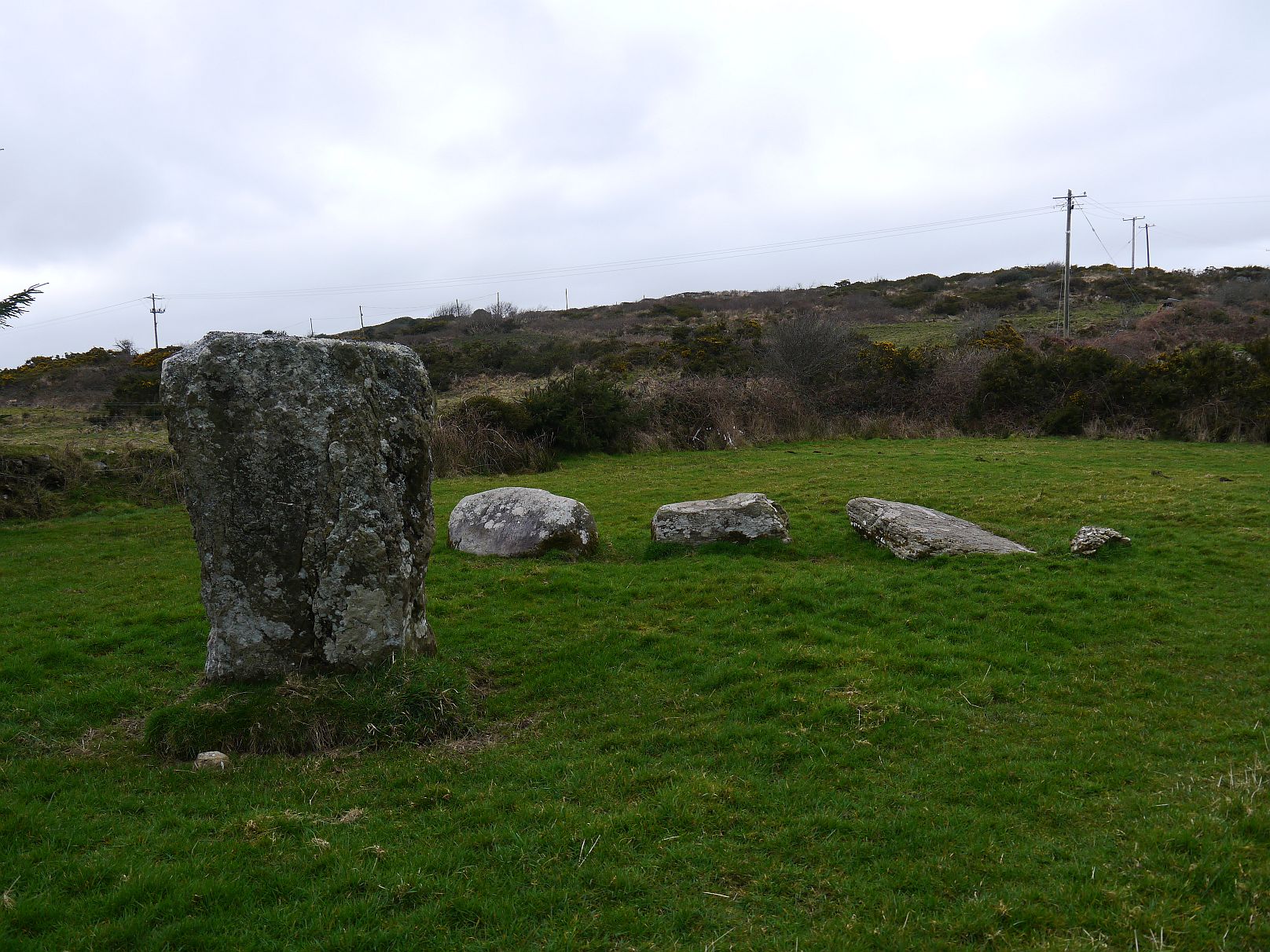 Image of Derreengreanagh (Standing Stones) by Meic