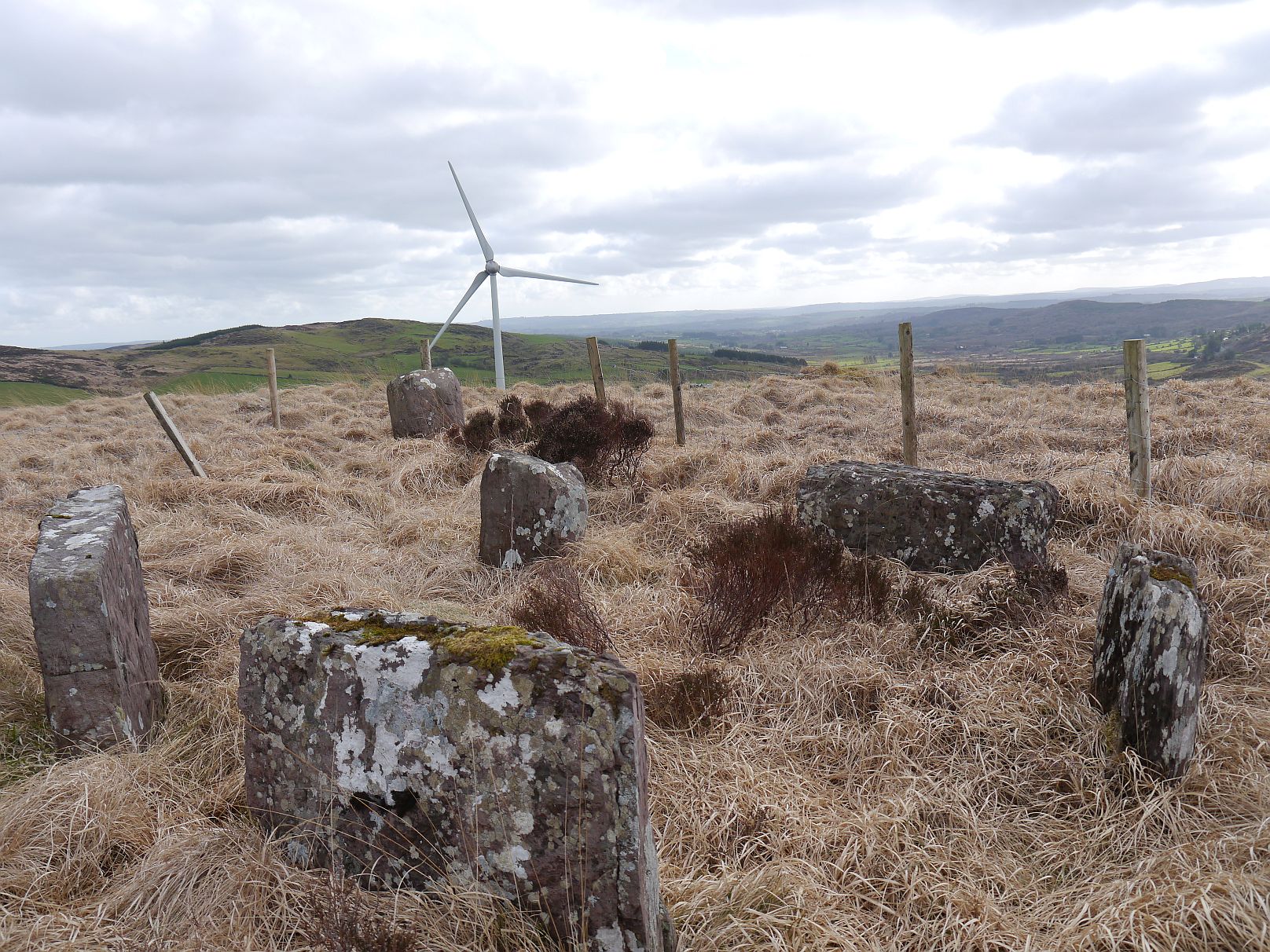 Image of Carriganimmy (Stone Circle) by Meic