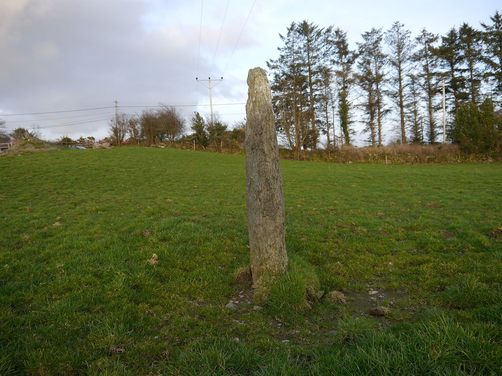 Image of Dunmanway North (Standing Stone / Menhir) by Meic