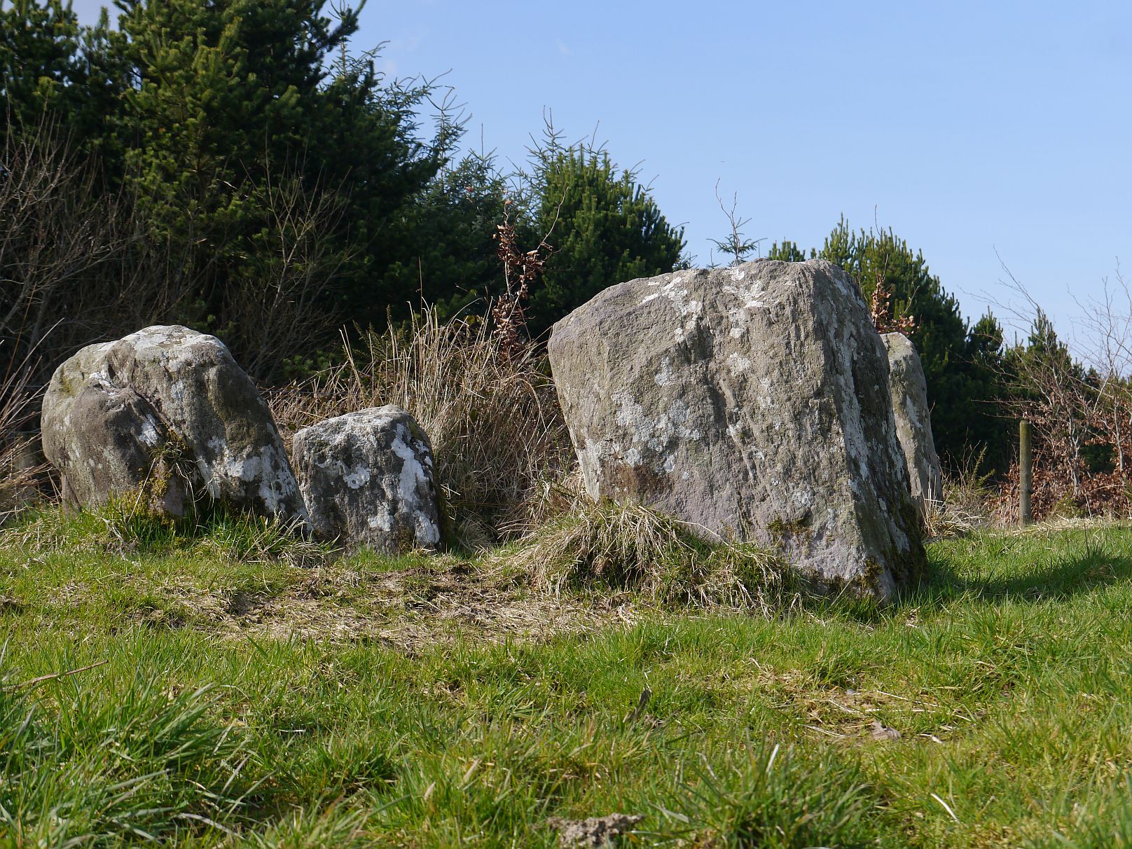 Image of Gortnatubbrid (Stone Circle) by Meic