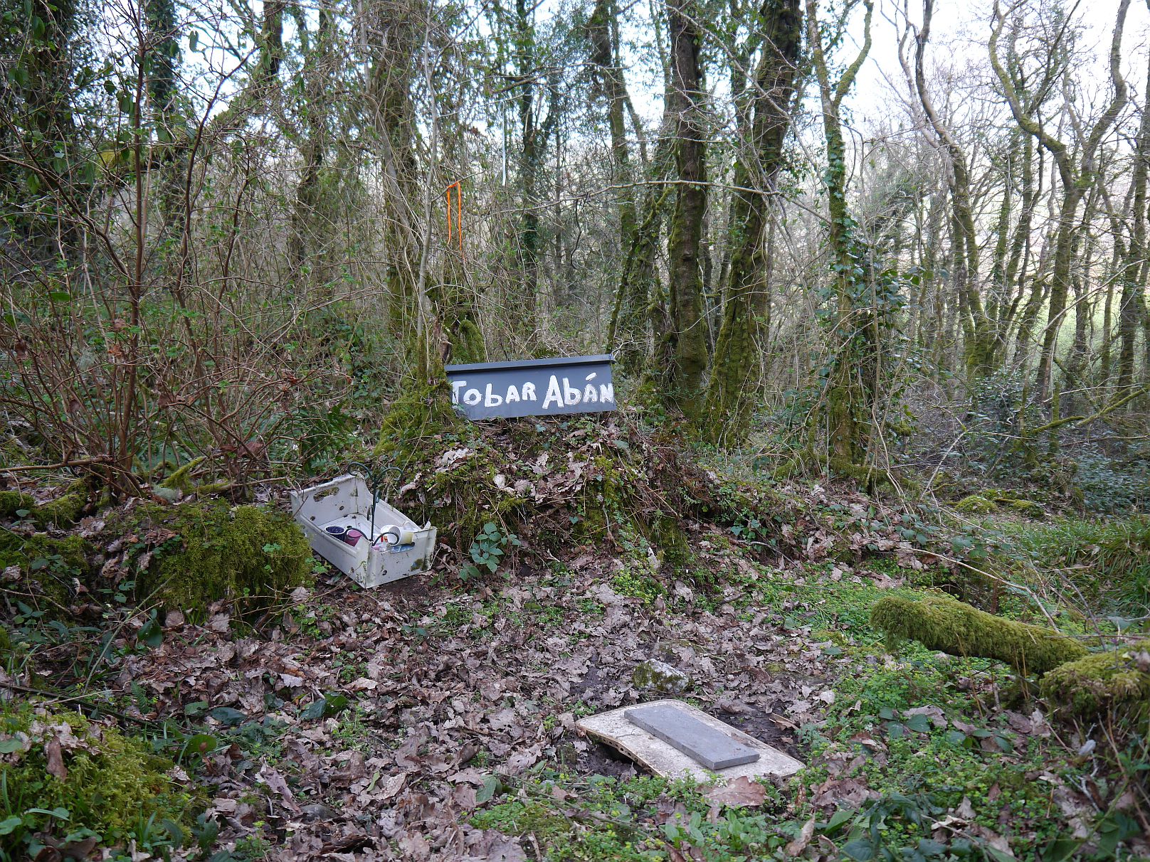 Image of Shanacloon (Sacred Well) by Meic