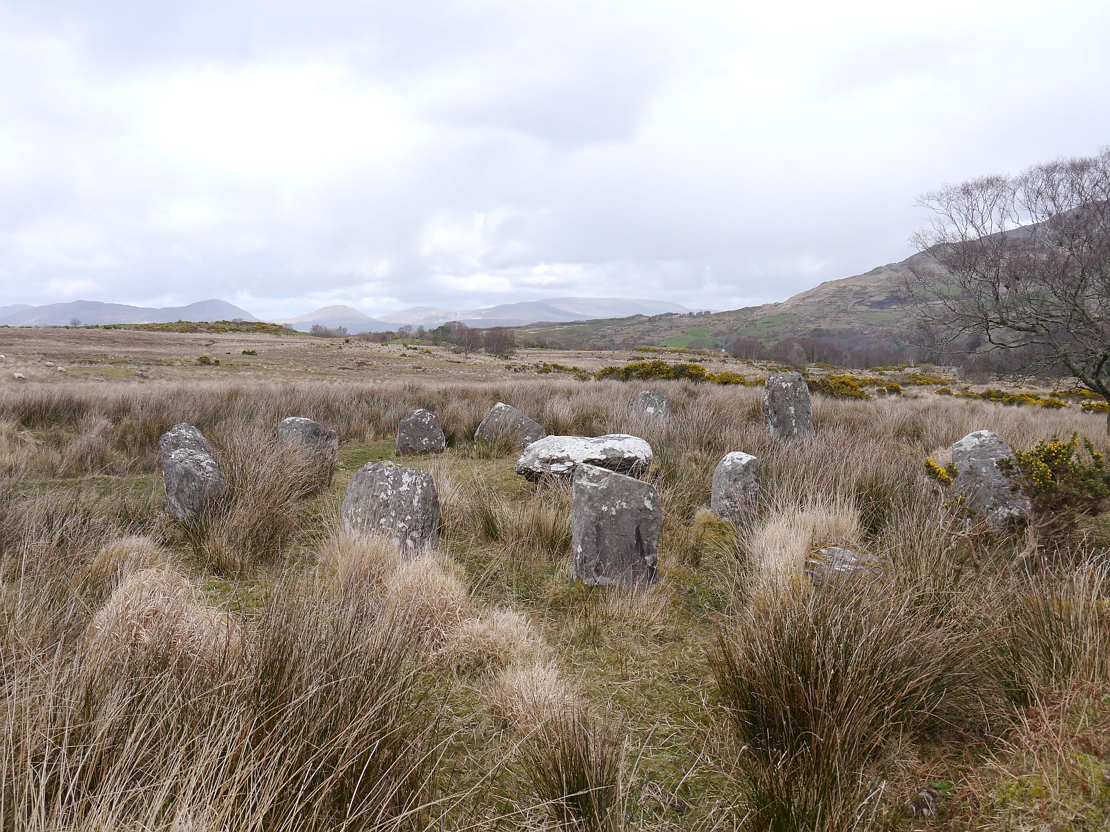 Image of Dromroe (Stone Circle) by Meic