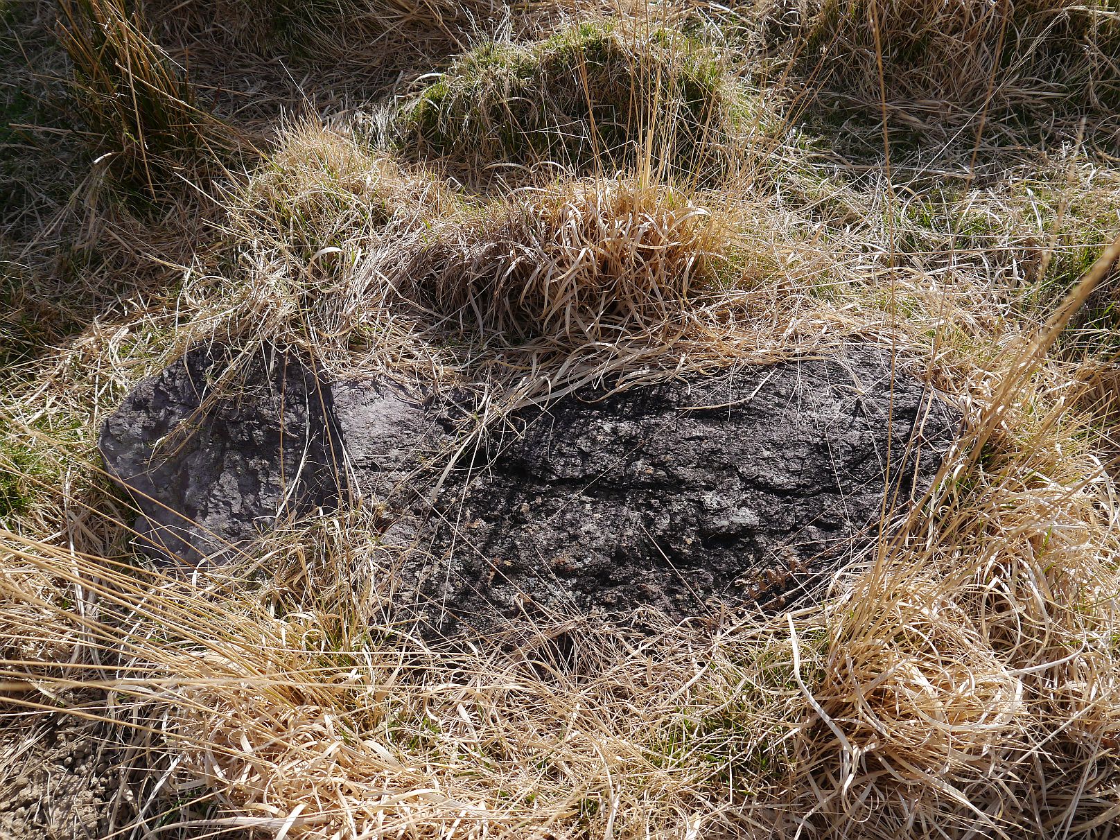 Image of Uragh North (Stone Circle) by Meic