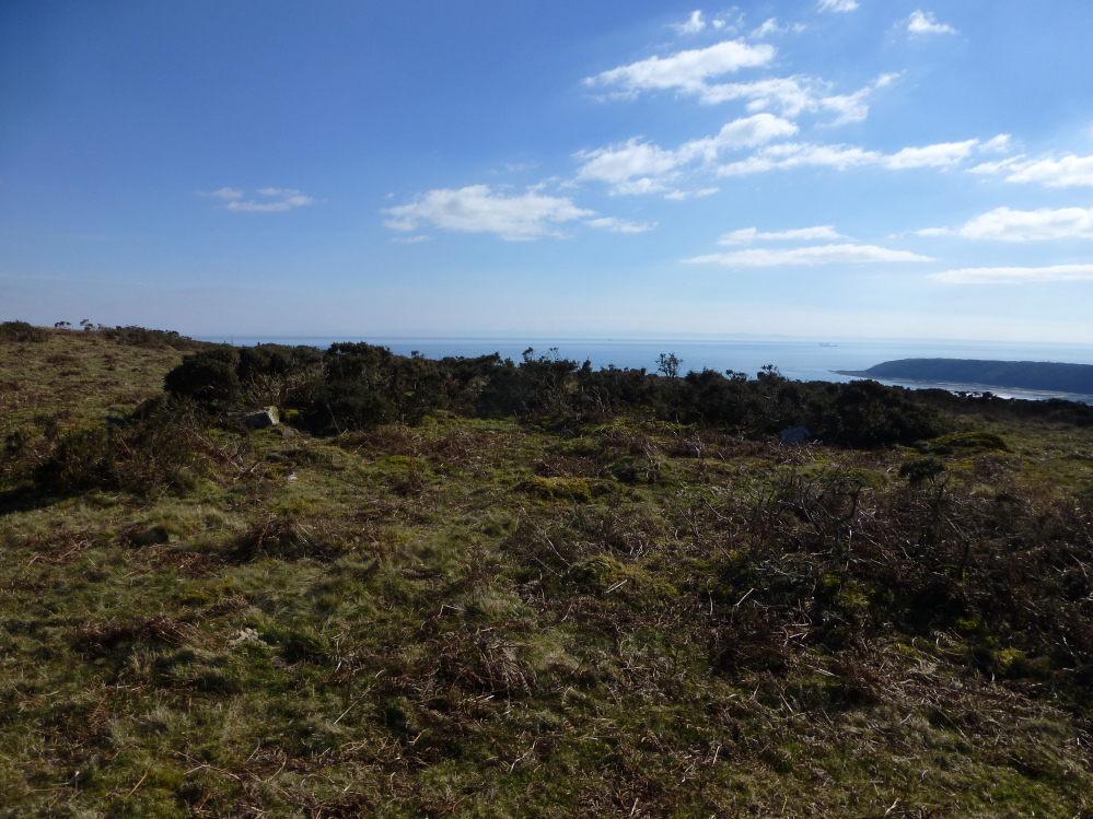Image of Cefn Bryn (East) (Cairn(s)) by thesweetcheat