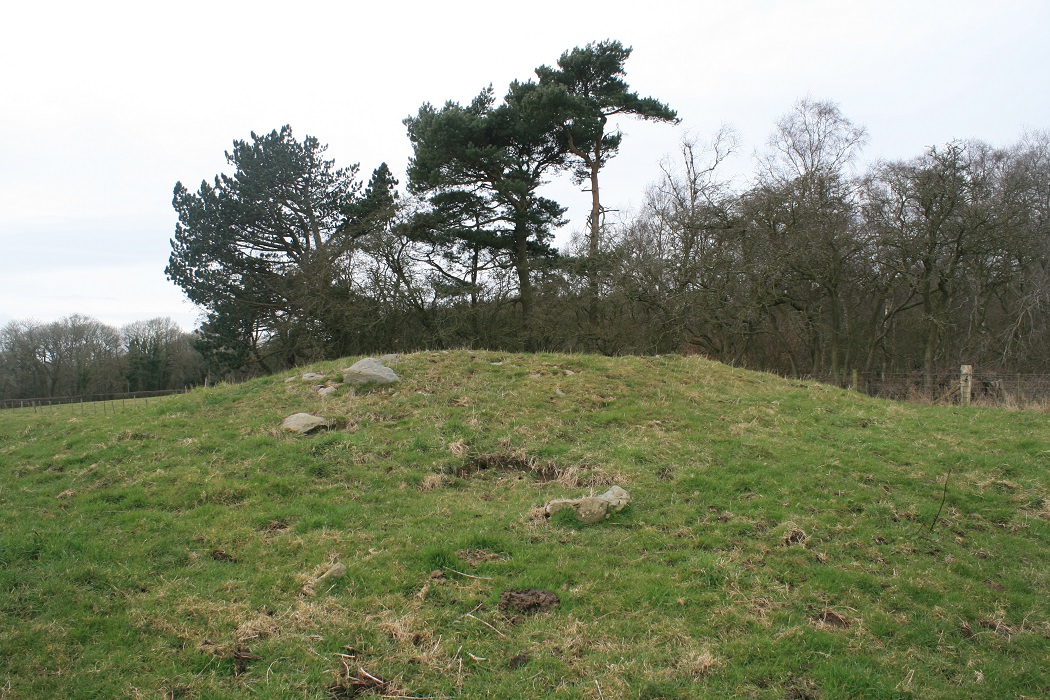 Image of Pant Ifan (Barrow / Cairn Cemetery) by postman
