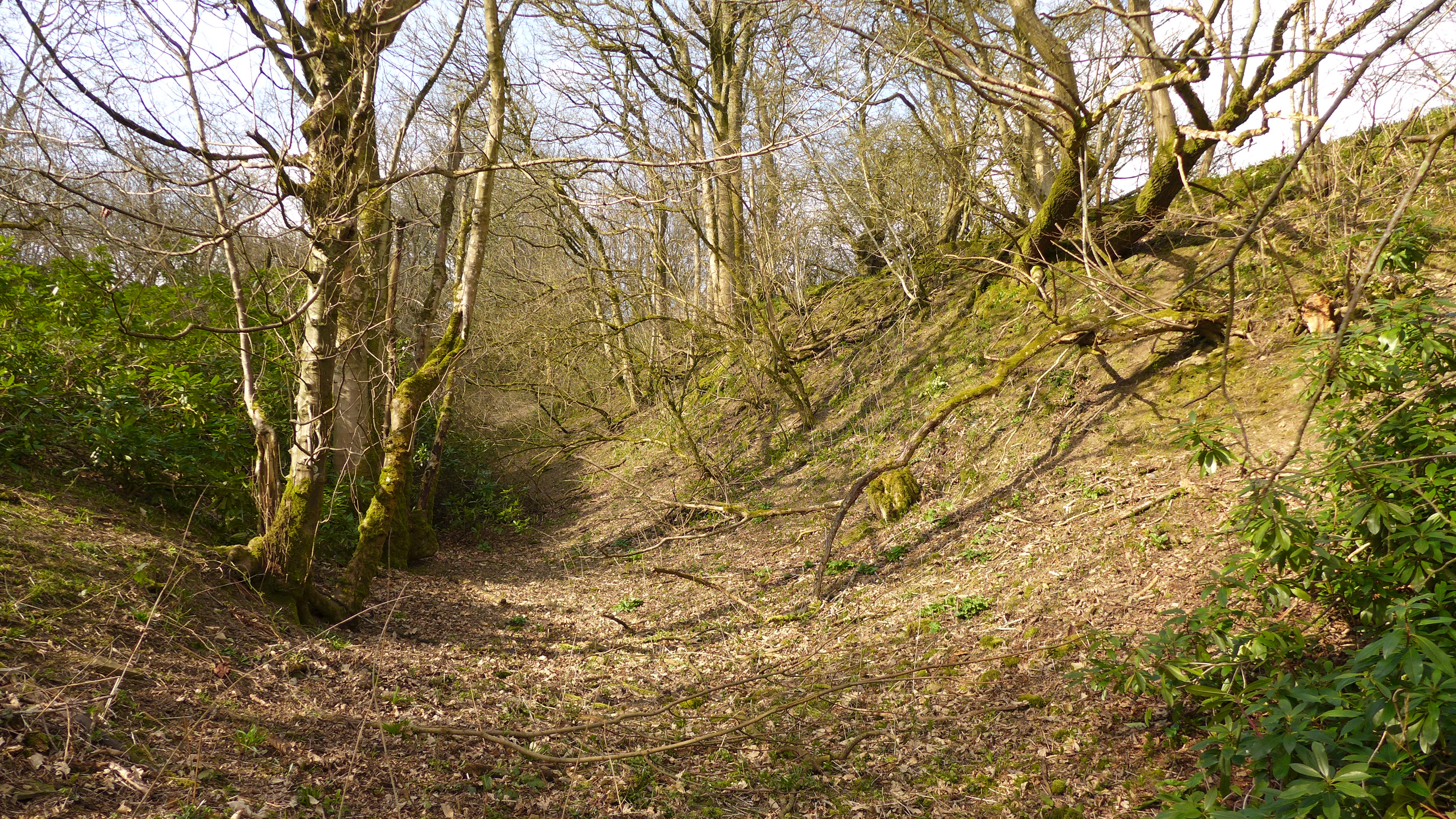 Image of Norton Camp (Shropshire) (Hillfort) by thelonious