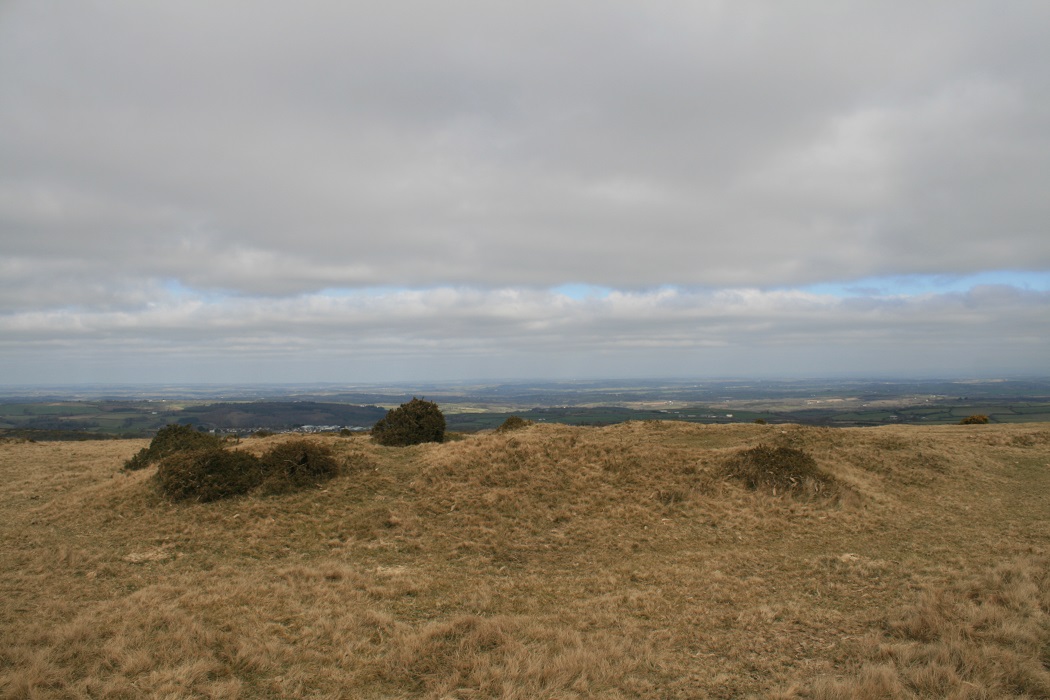 Image of Watchet Hill (Barrow / Cairn Cemetery) by postman
