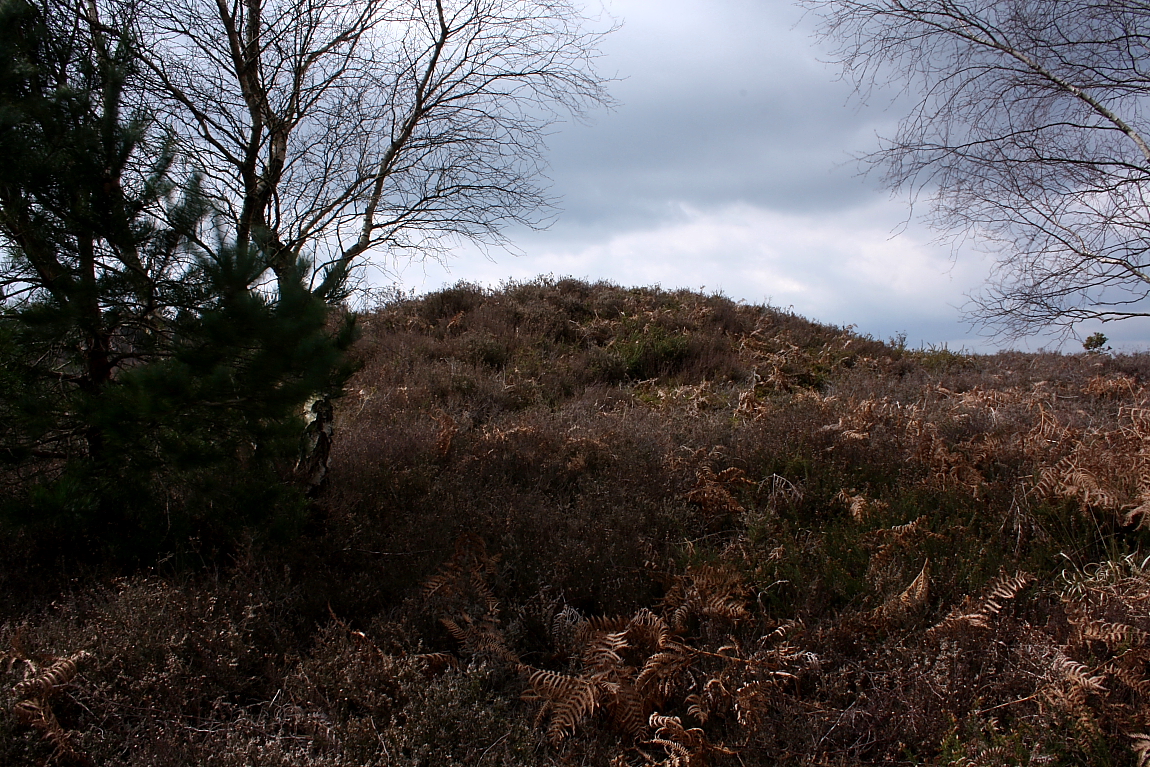 Image of Iping Common (Barrow / Cairn Cemetery) by GLADMAN