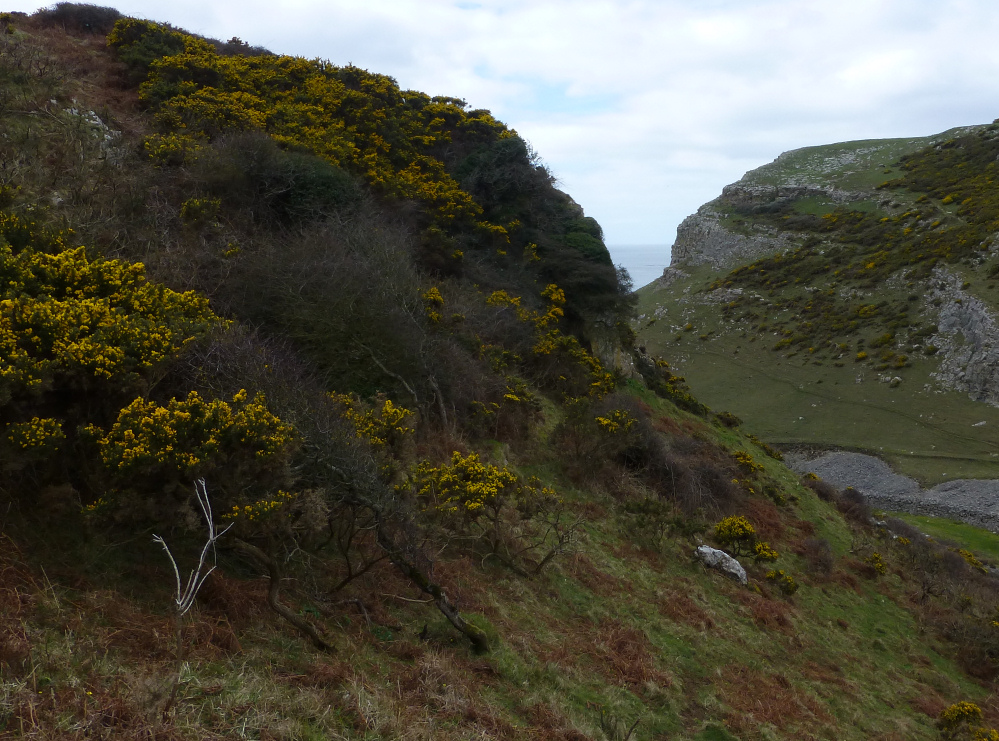 Image of Mewslade Cave by thesweetcheat