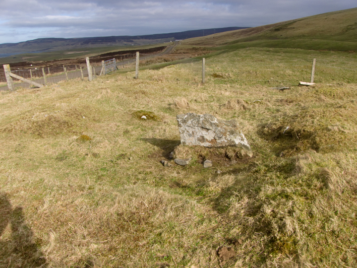 Image of Redland South (Chambered Cairn) by wideford