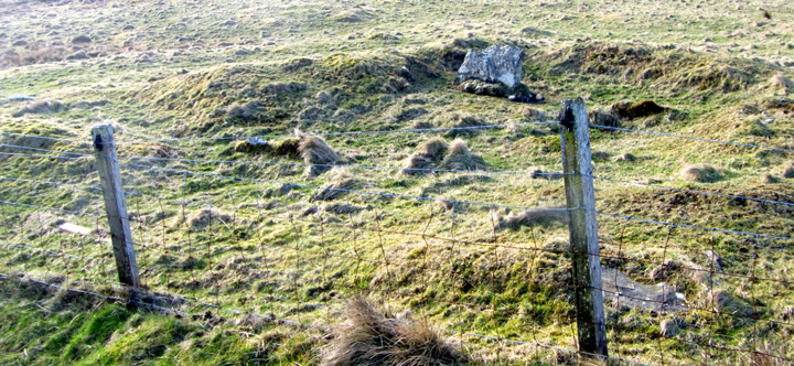 Image of Redland South (Chambered Cairn) by wideford